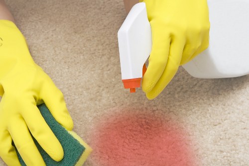 Professional carpet cleaners in Botany Bay working on a residential carpet