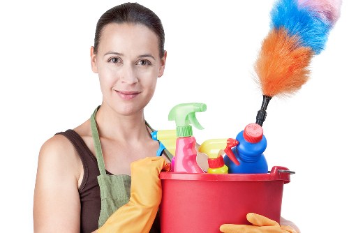 Botany Bay carpet cleaners deep cleaning a carpet in a home