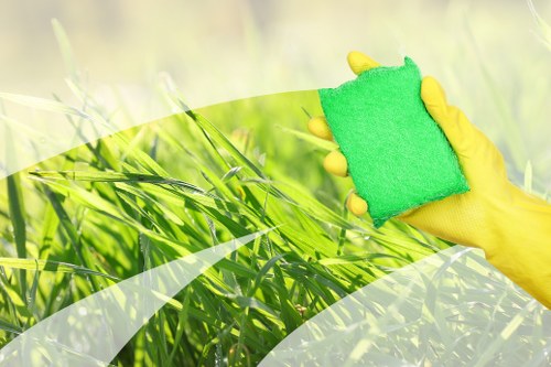 Professional steam carpet cleaning in a Botany Bay home