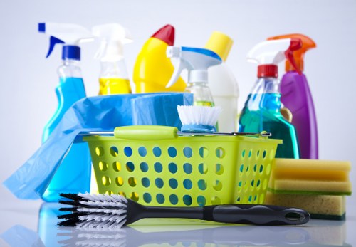 Carpet cleaning service booking and terms illustration