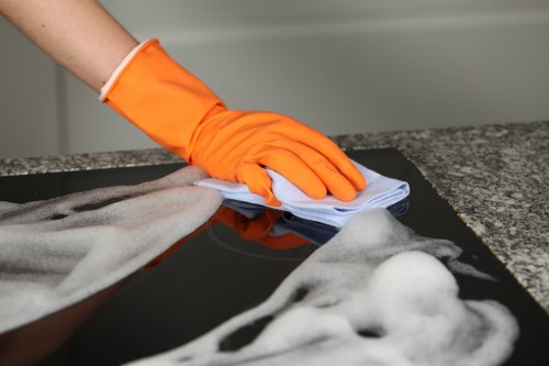 Professional carpet cleaning appointment details