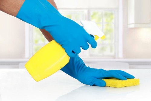 Screen-reader friendly accessibility features for Botany Bay carpet cleaners