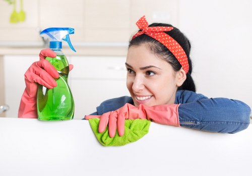 Common household stains and cleaning methods in Botany Bay