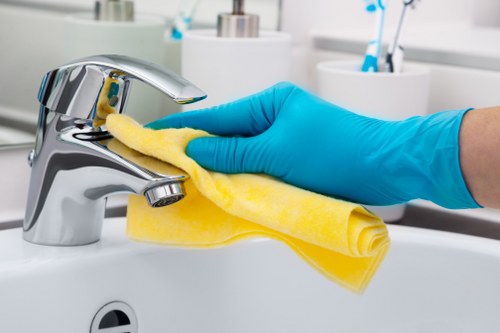 Professional carpet cleaning team following safe procedures