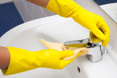 Inspection notes for a carpet cleaning service issue